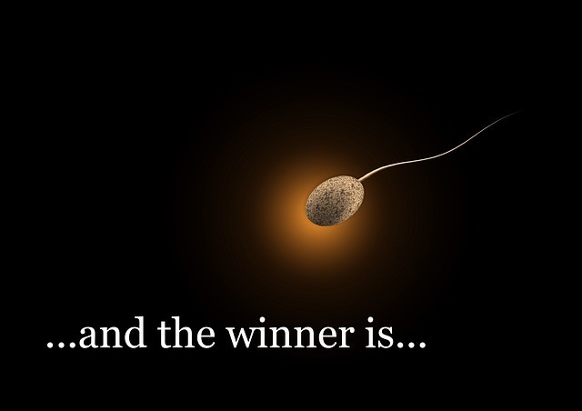 sperm dna