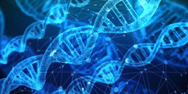 premature ejaculation can be genetics
