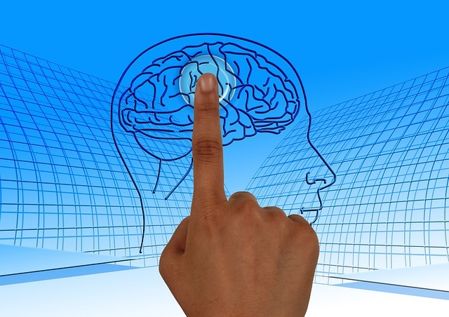 you program your brain